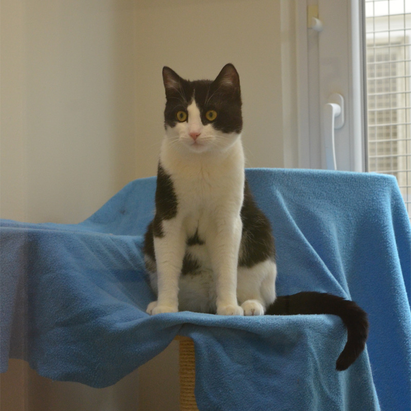 livius4-profilbild-20230621