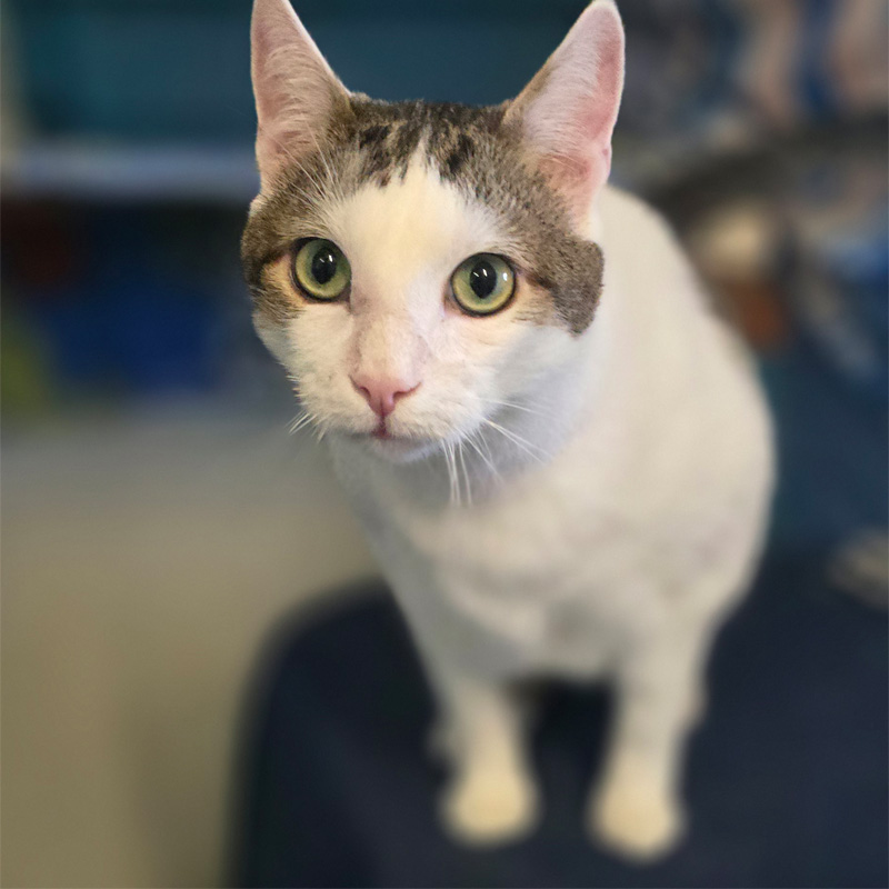 loki2-profilbild-20240808-1