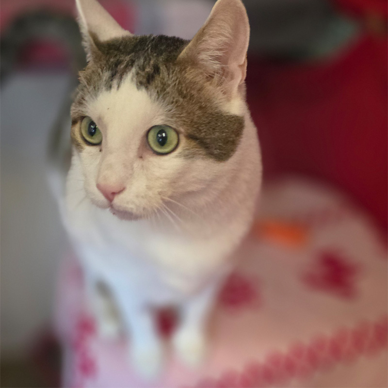 loki3-profilbild-20240808-1