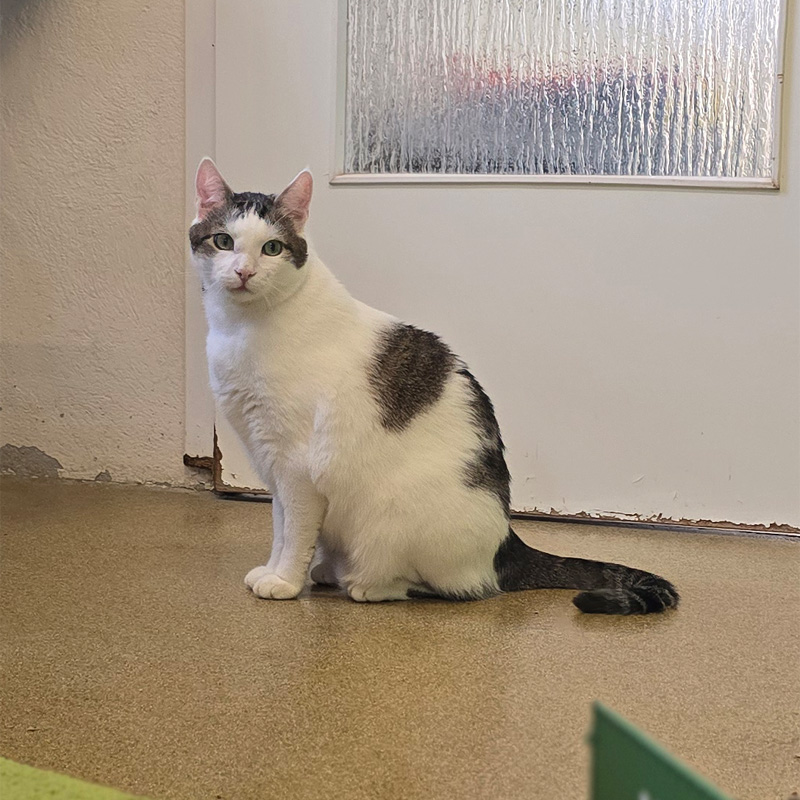 loki4-profilbild-20240808-1