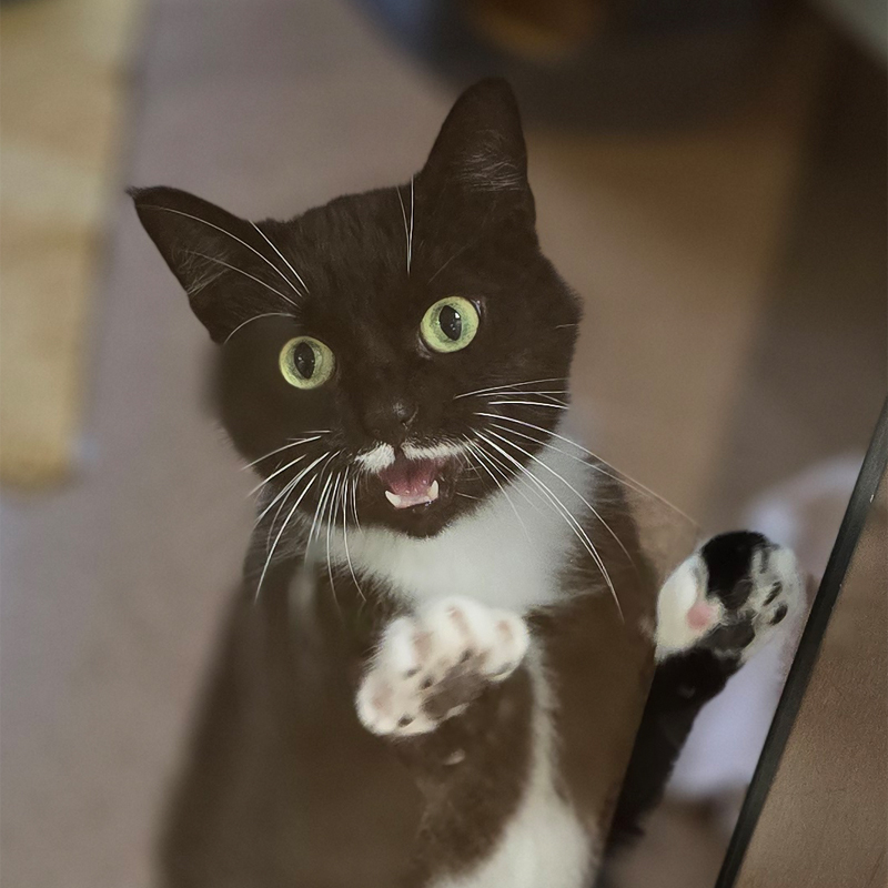 manu-titelbild-20241101