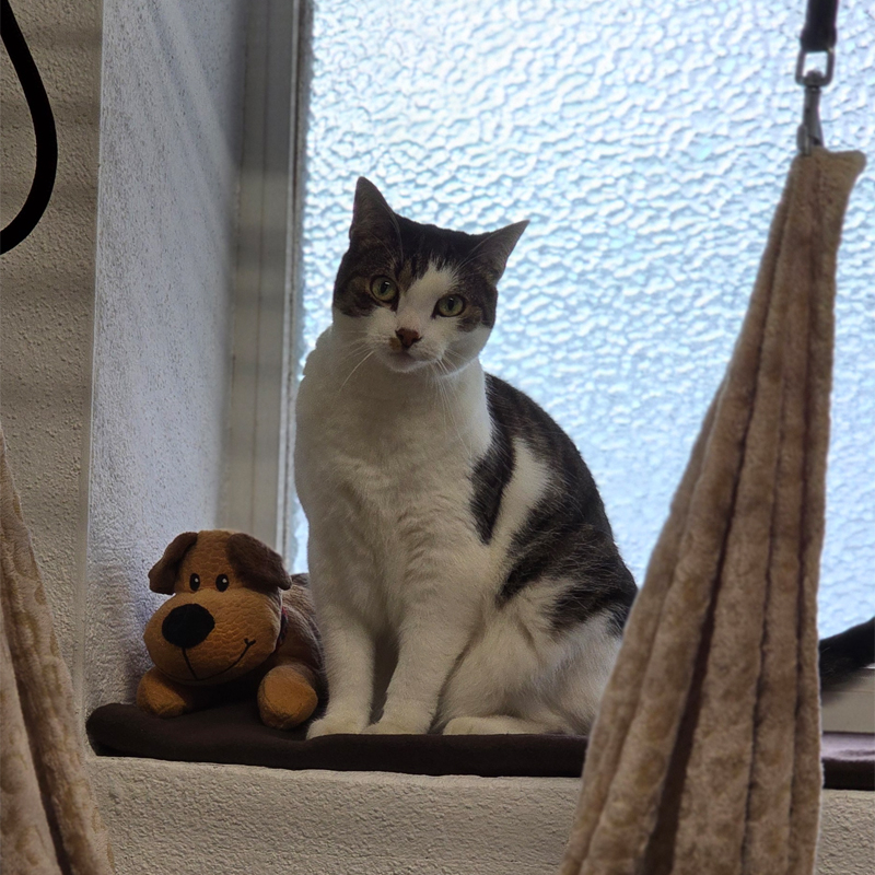 miele1-profilbild-20241227