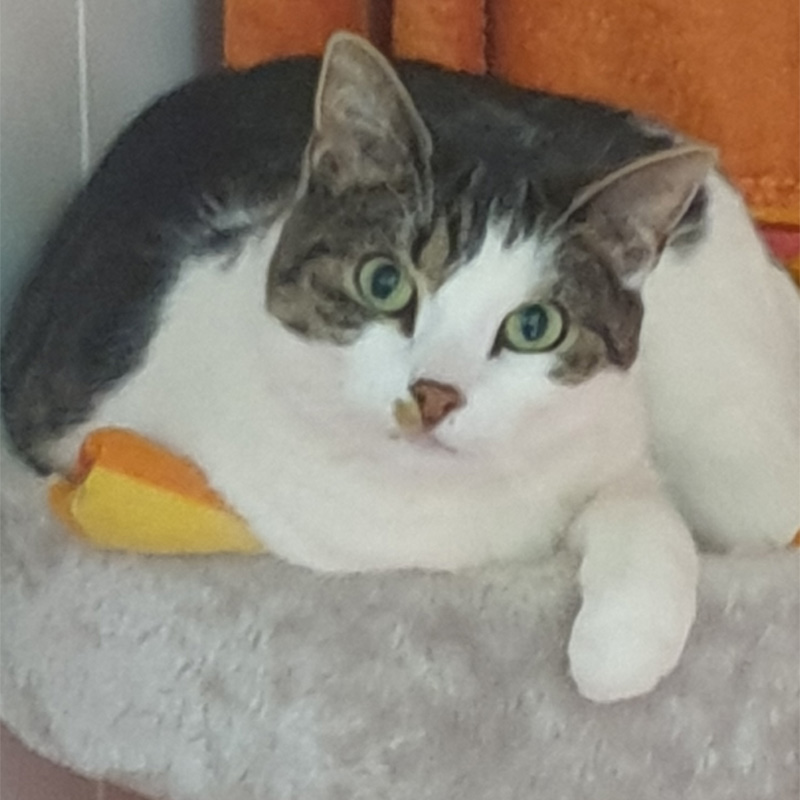 mielee-titelbild-20240214