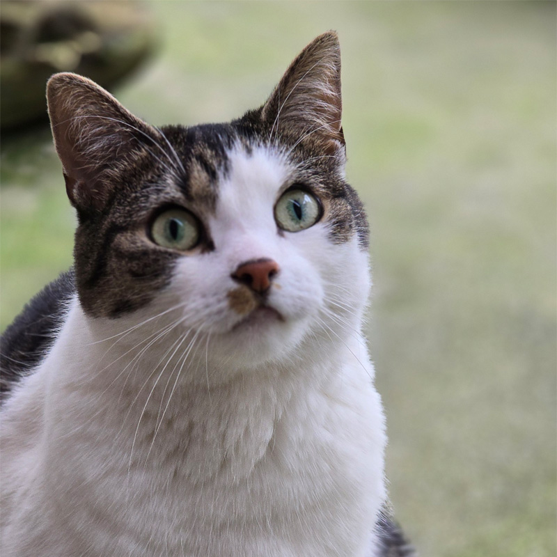 mielee-titelbild-20240314