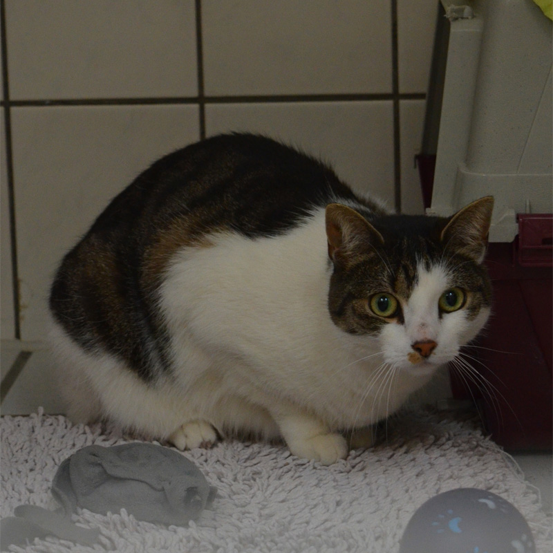 mielee1-profilbild-20240214