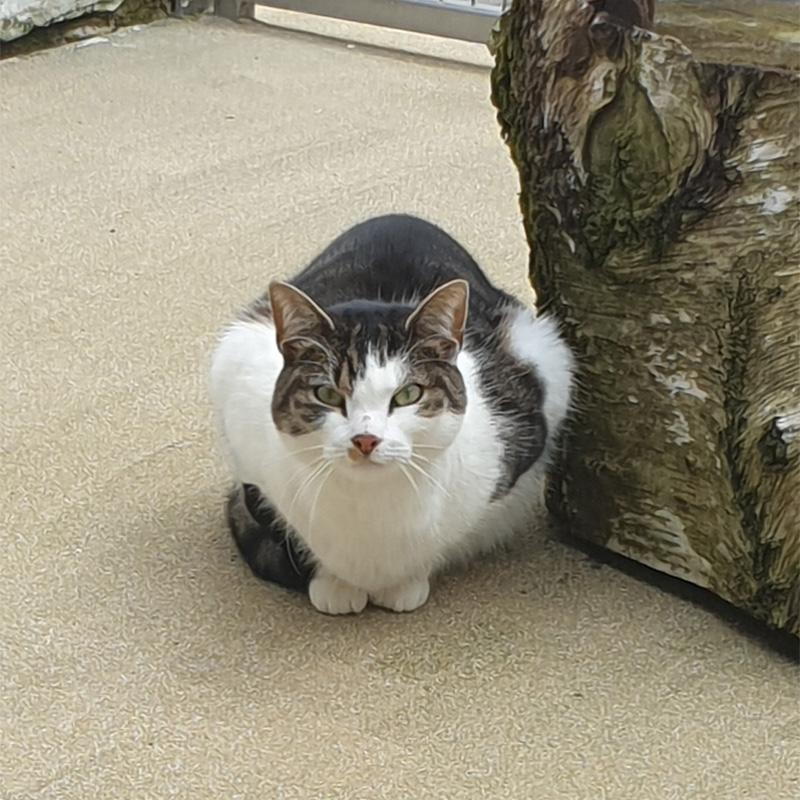 mielee2-profilbild-20240214