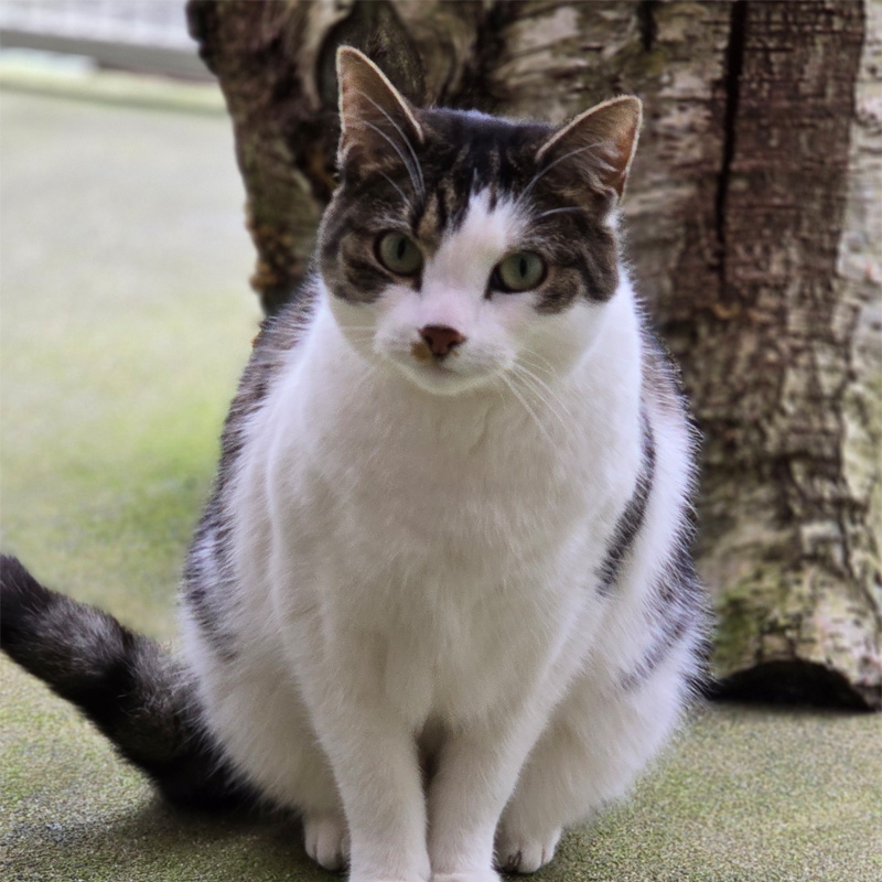 mielee2-profilbild-20240314