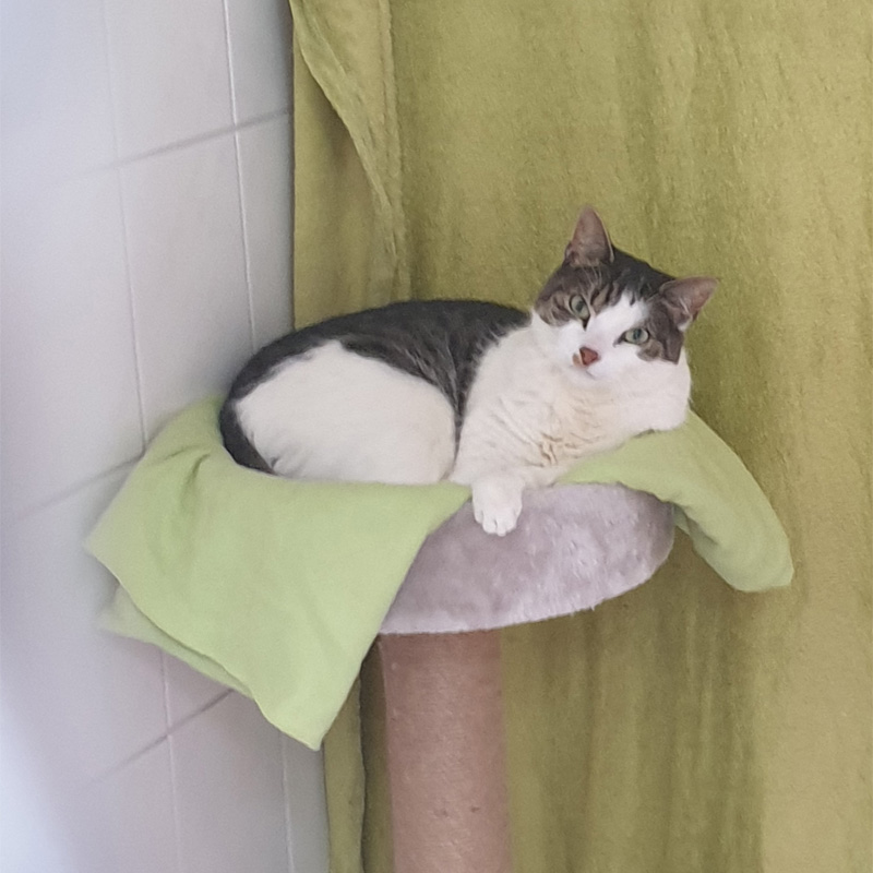 mielee3-profilbild-20240214