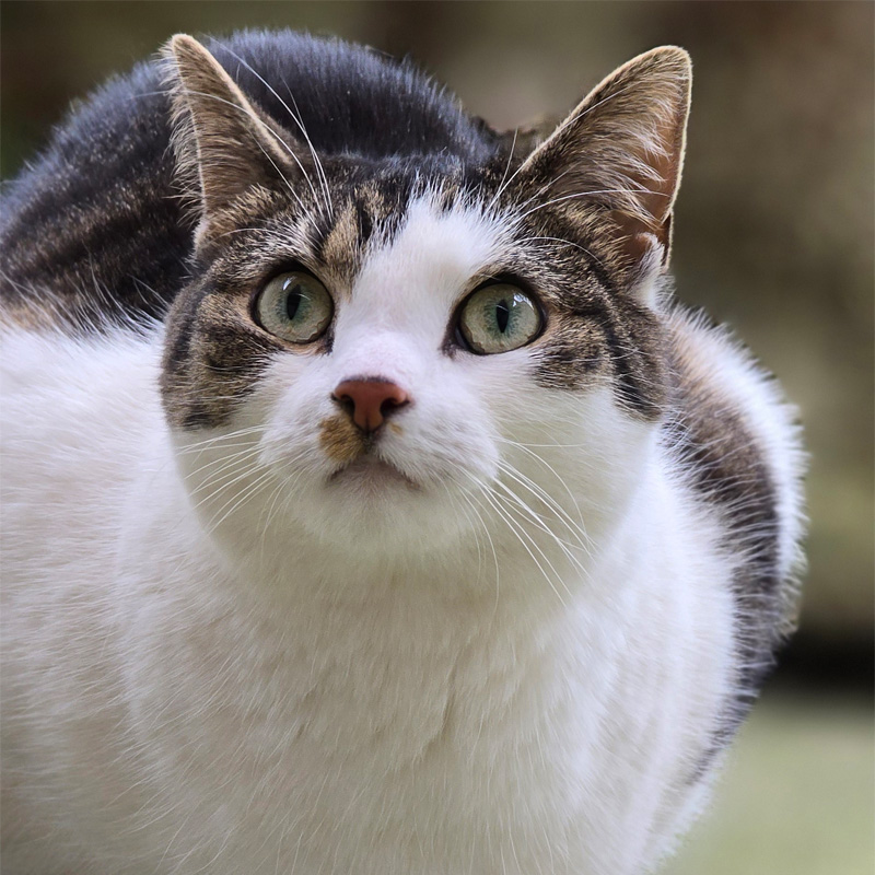 mielee3-profilbild-20240314