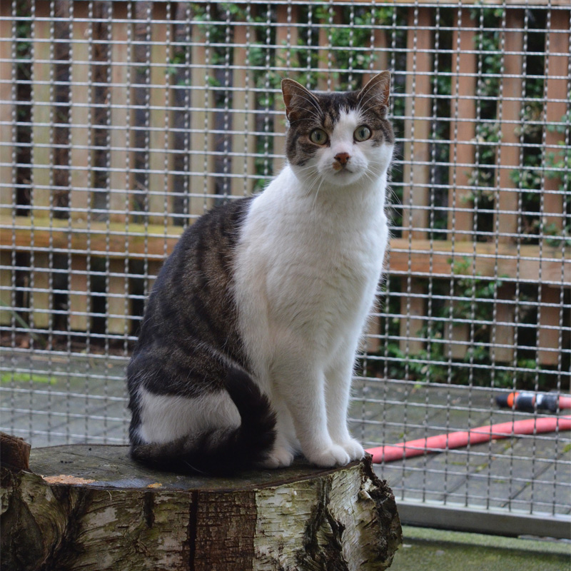 mielee4-profilbild-20240214