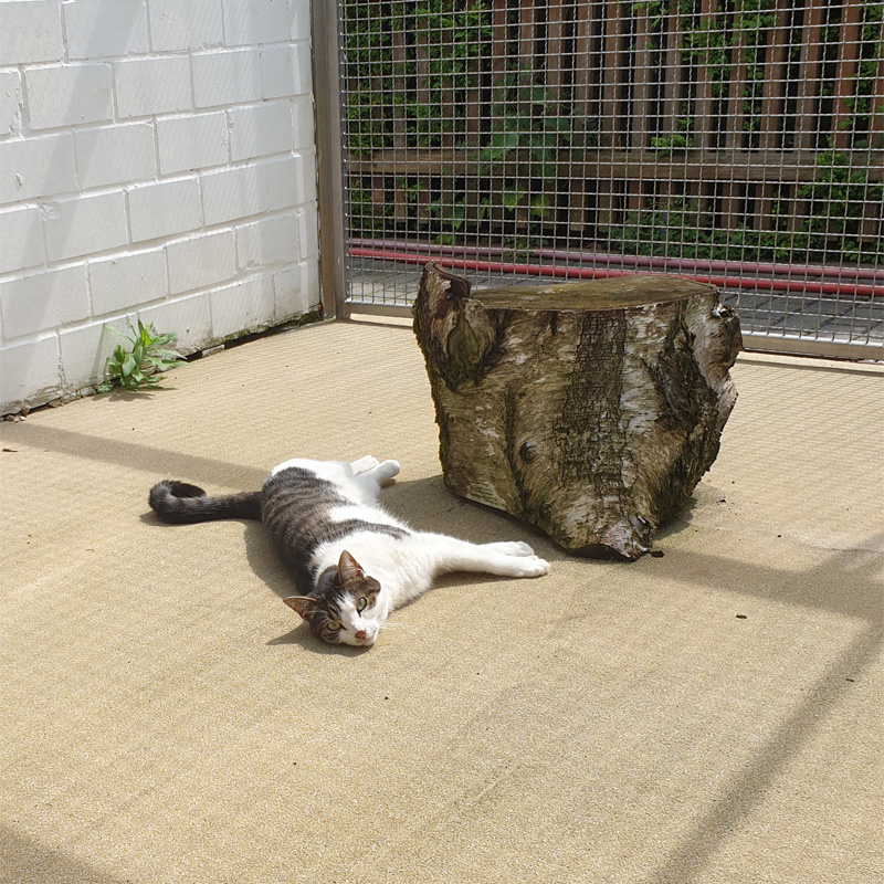 mielee5-profilbild-20240214