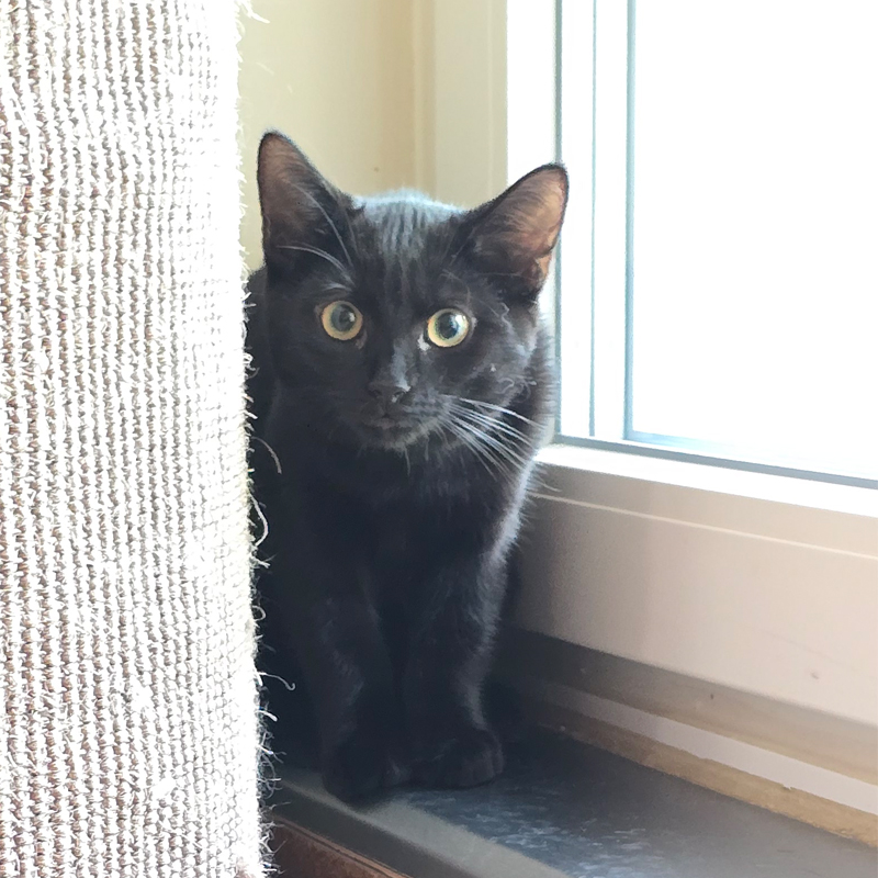 milano1-profilbild-20250812-1