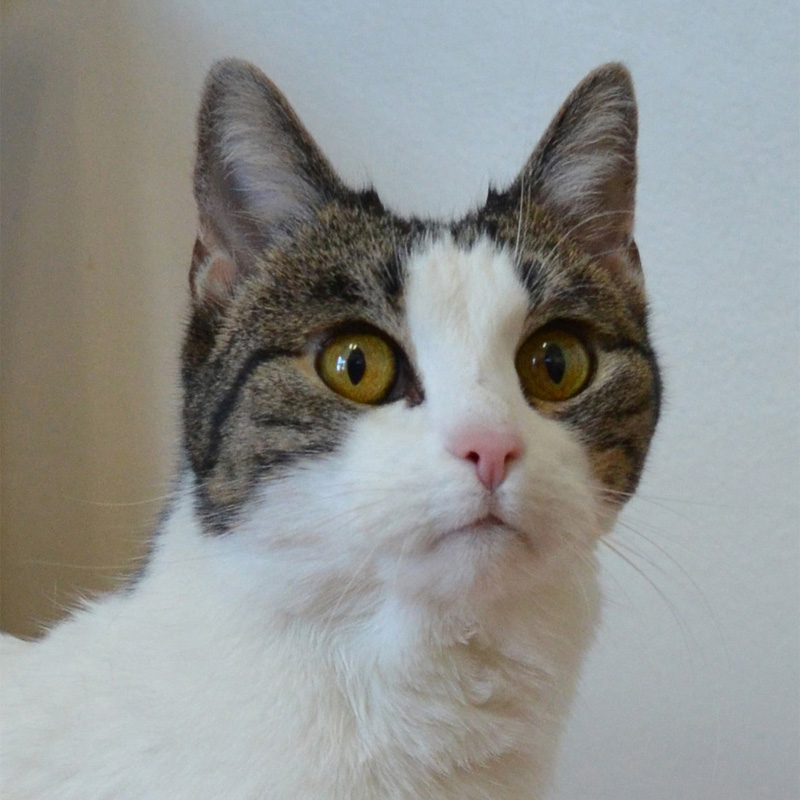 milly-titelbild-20230303