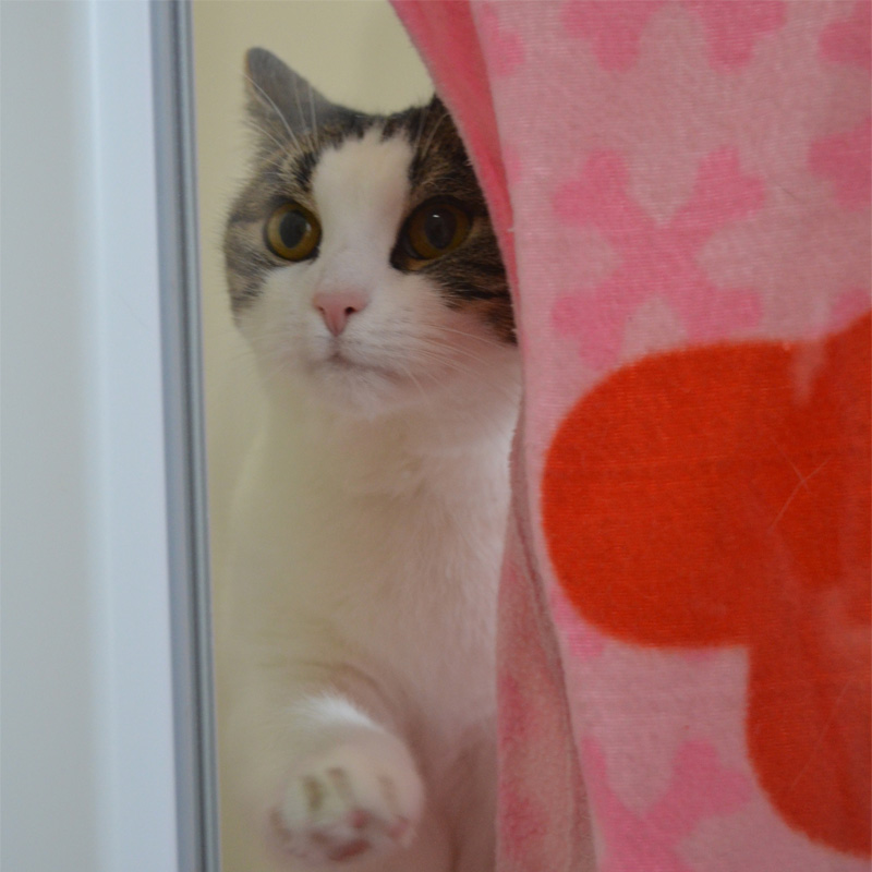 milly1-profilbild-20230303