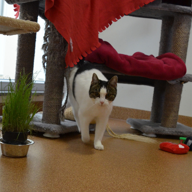 milly2-profilbild-20230303