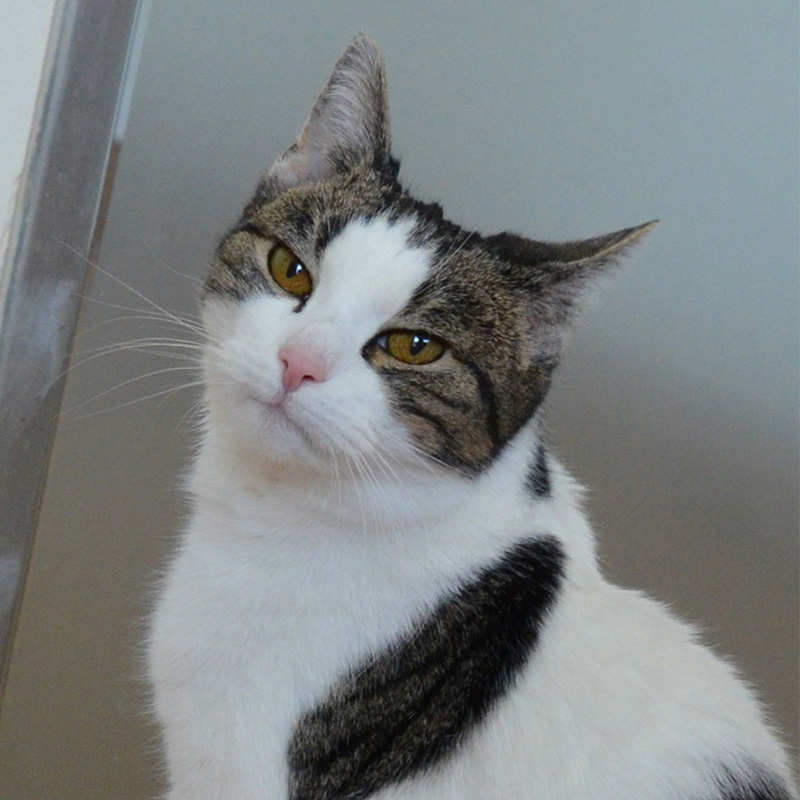 milly3-profilbild-20230303