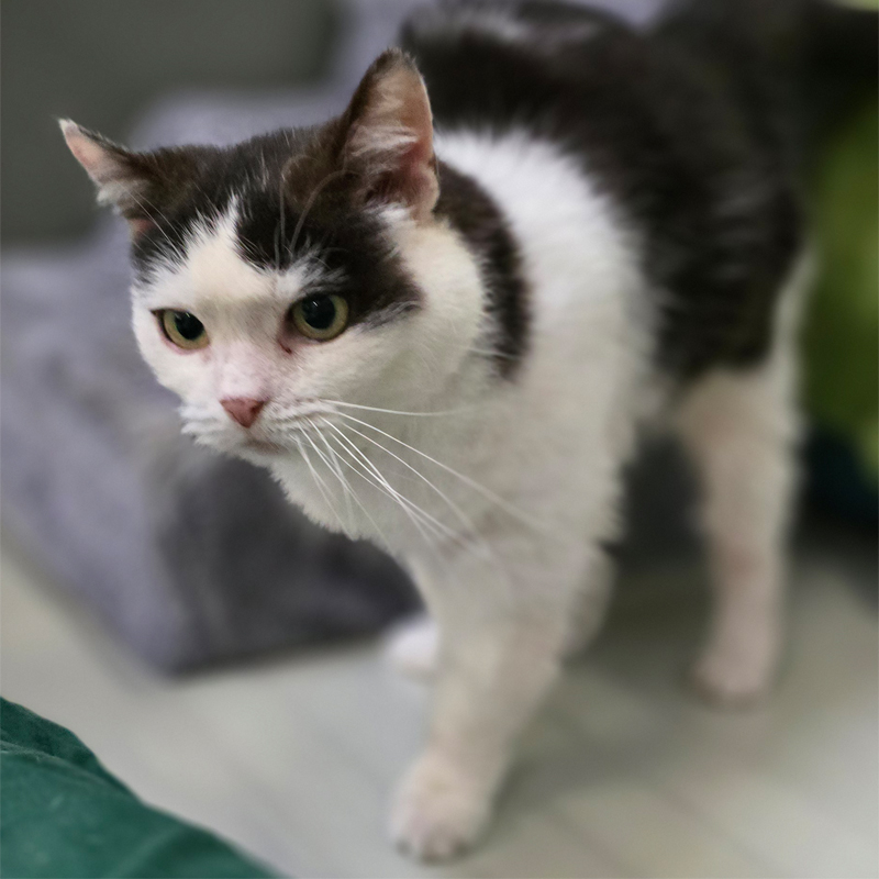 mimmi1-profilbild-20250603