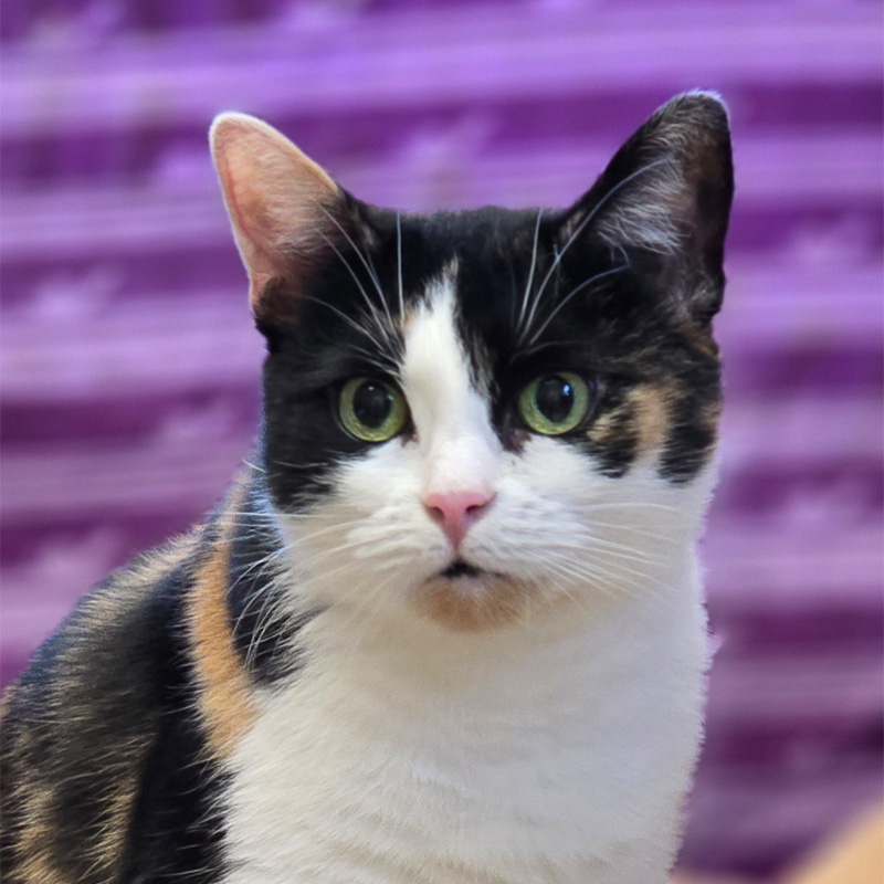 mini-titelbild-20240314