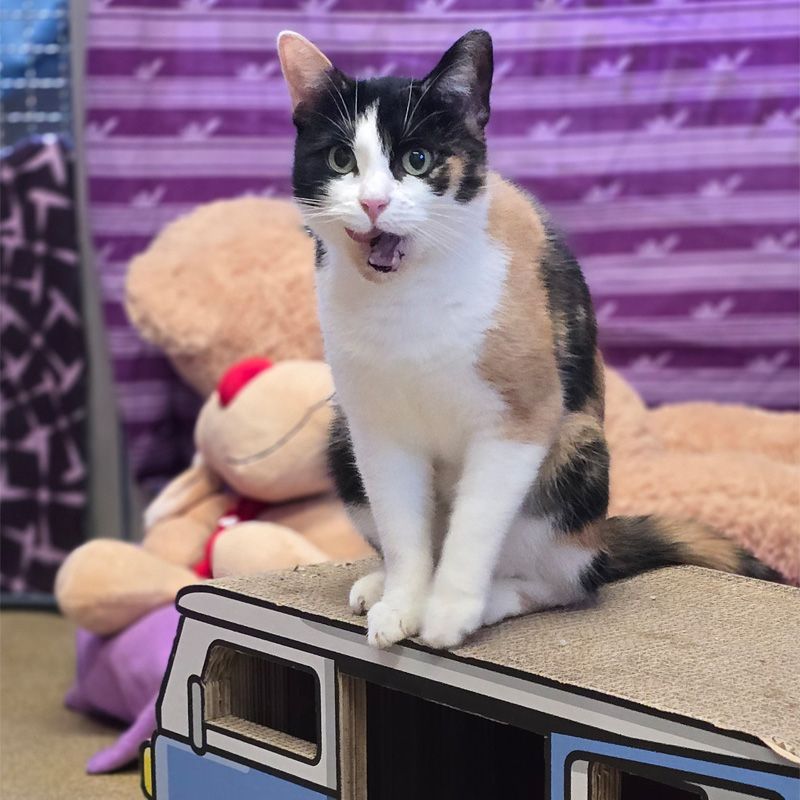 mini1-profilbild-20240314