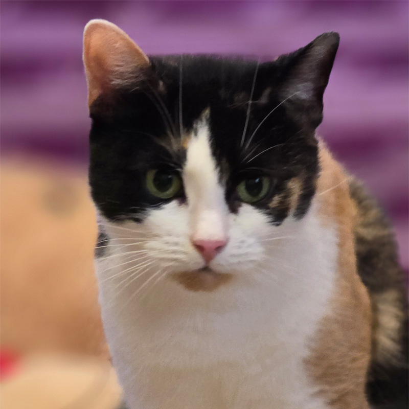 mini2-profilbild-20240314