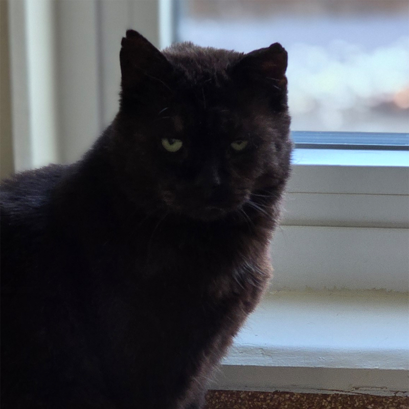 moritz-titelbild-20250111