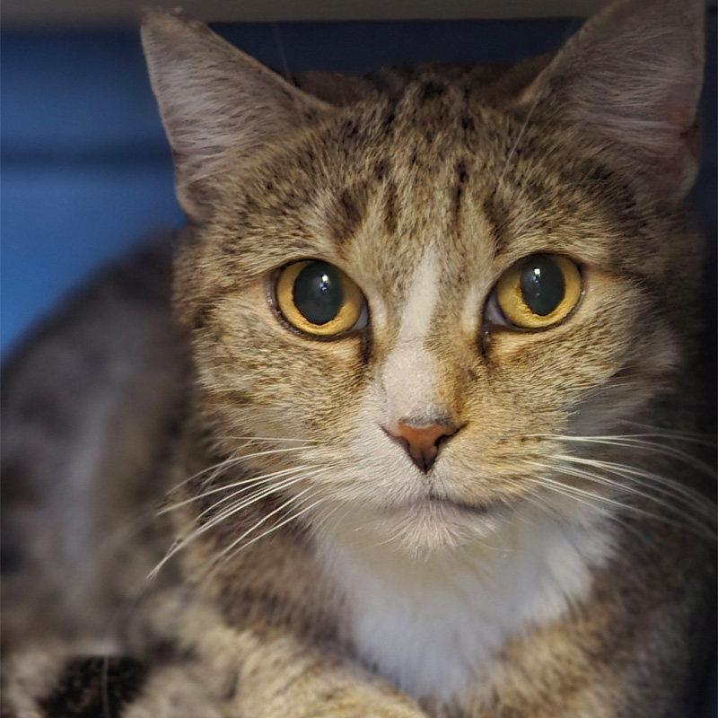 mulle-titelbild-20240314