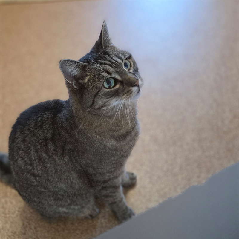 nalana1-profilbild-20250111