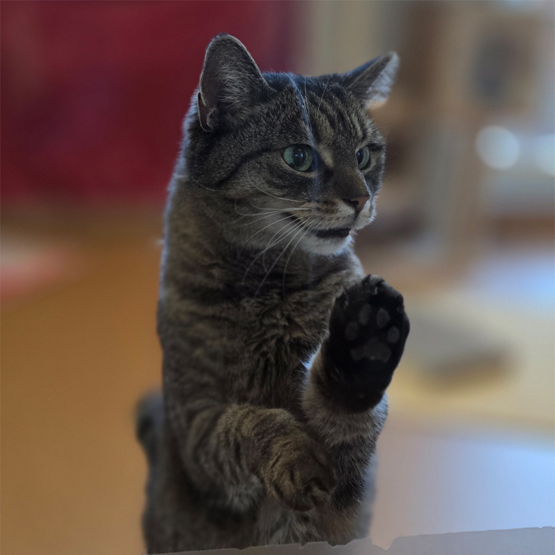 nalana2-profilbild-20250111