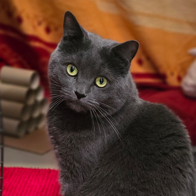 nana-titelbild-20250417