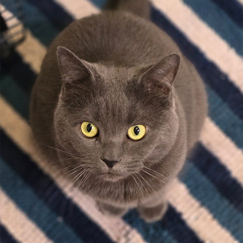 nana1-profilbild-20250417