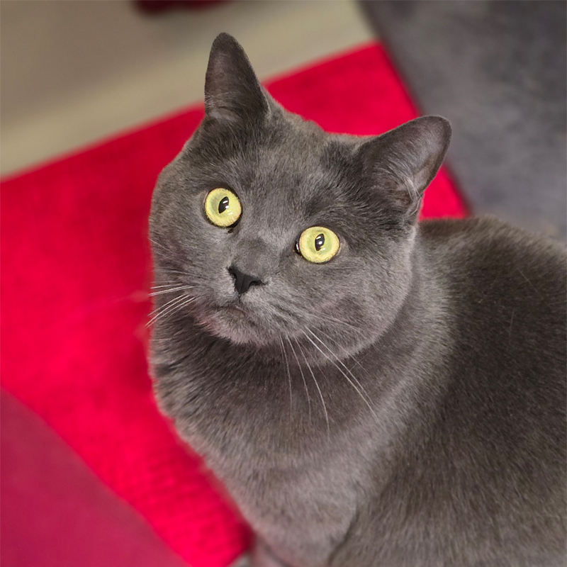 nana2-profilbild-20250417