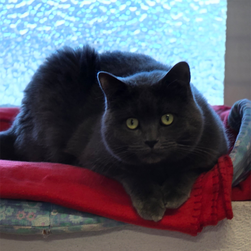 nana3-profilbild-20250417