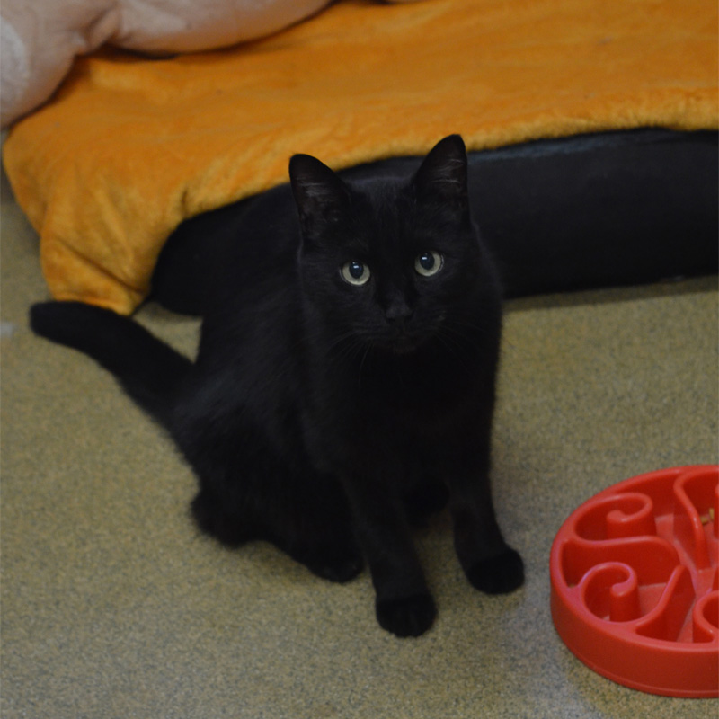 nelly2-profilbild-20230413