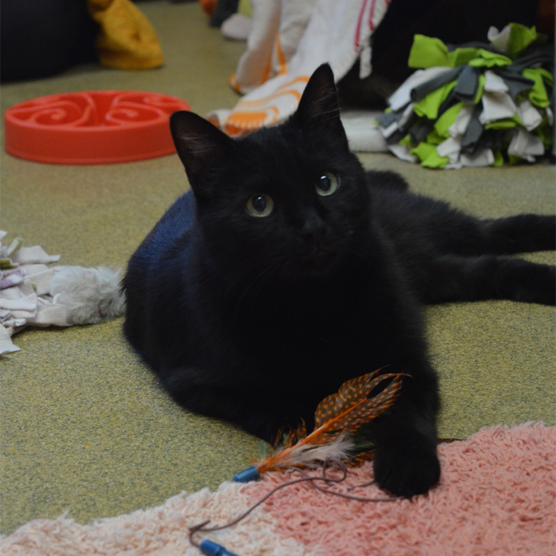 nelly3-profilbild-20230413