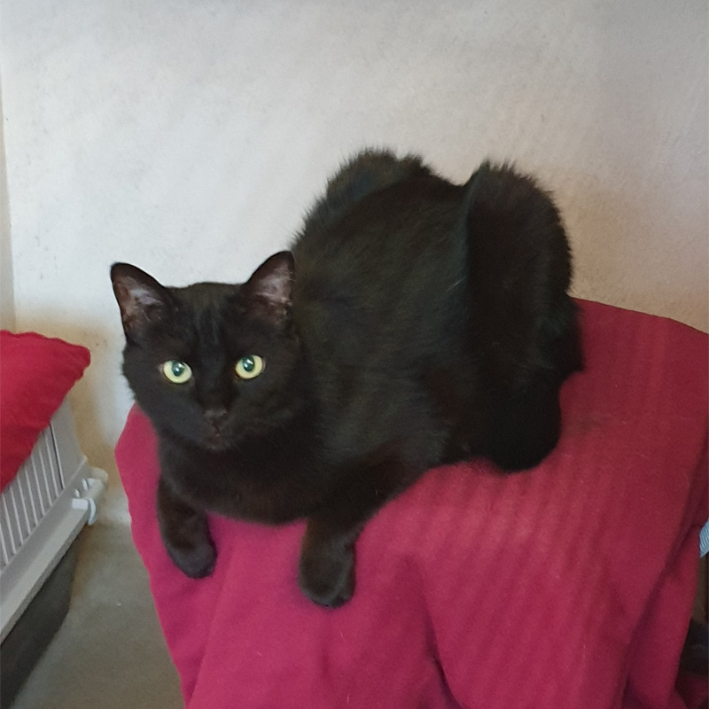 nelly4-profilbild-20230413