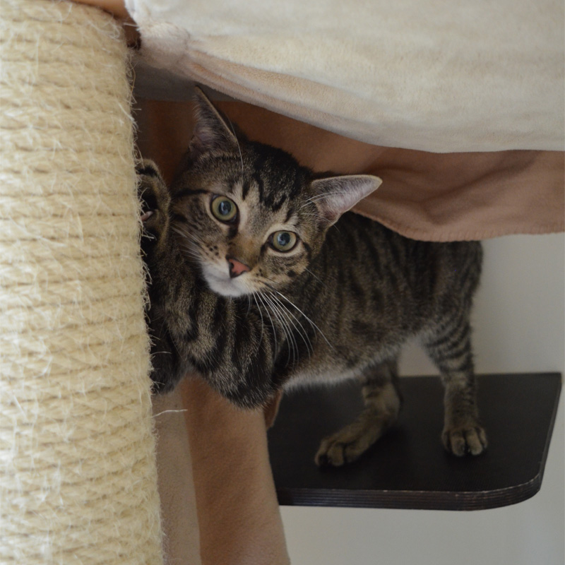 percy2-profilbild-20230621