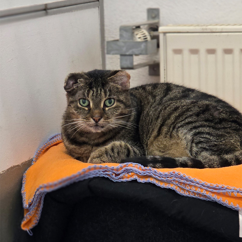 pueppi1-profilbild-20241101