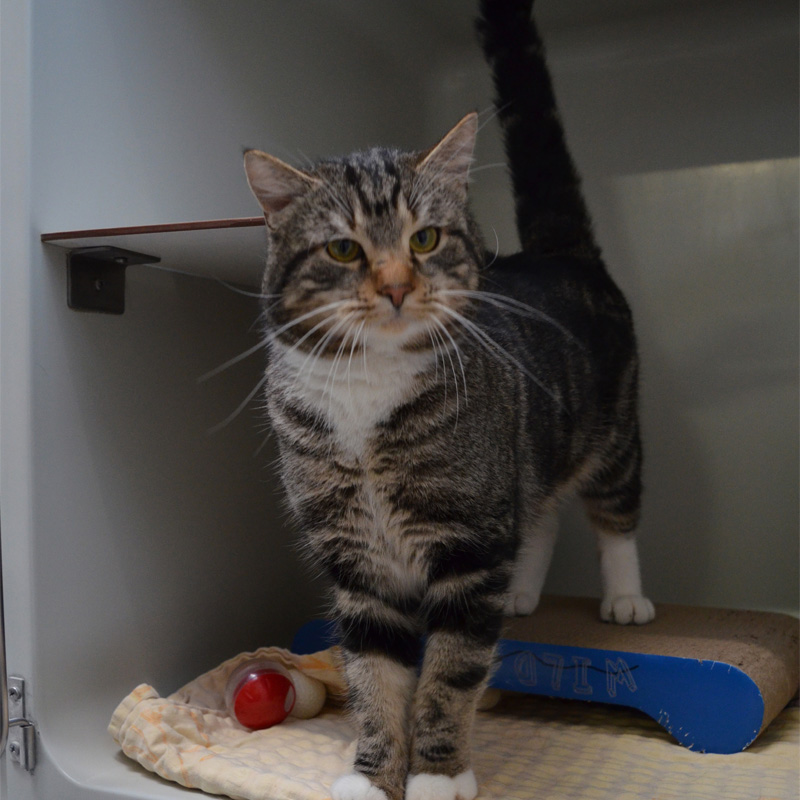 roland1-profilbild-20240210