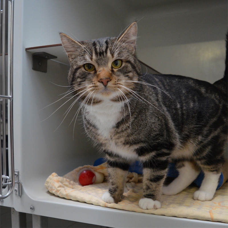 roland2-profilbild-20240210