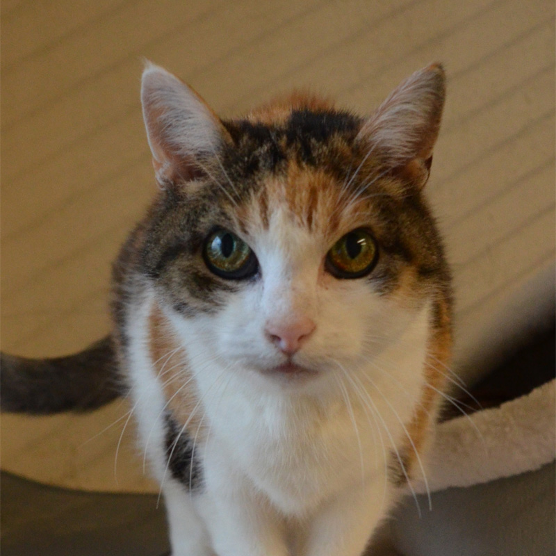 rosi-titelbild-20240114