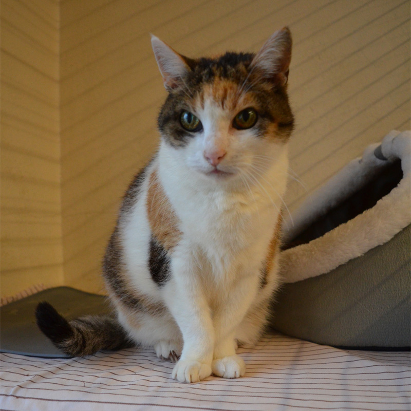 rosi2-profilbild-20240214