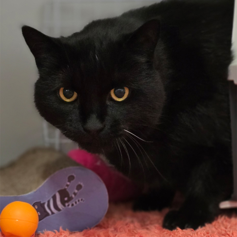 sam1-profilbild-20250603