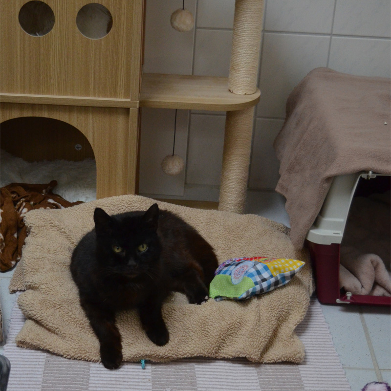 scottina1-profilbild-20230603