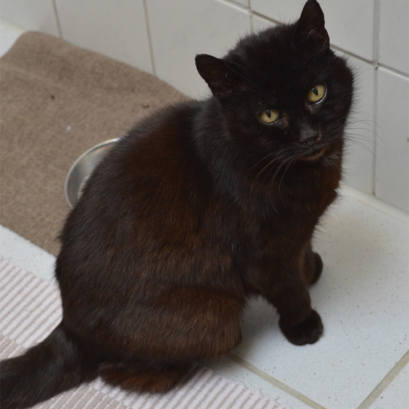 scottina2-profilbild-20230603-1